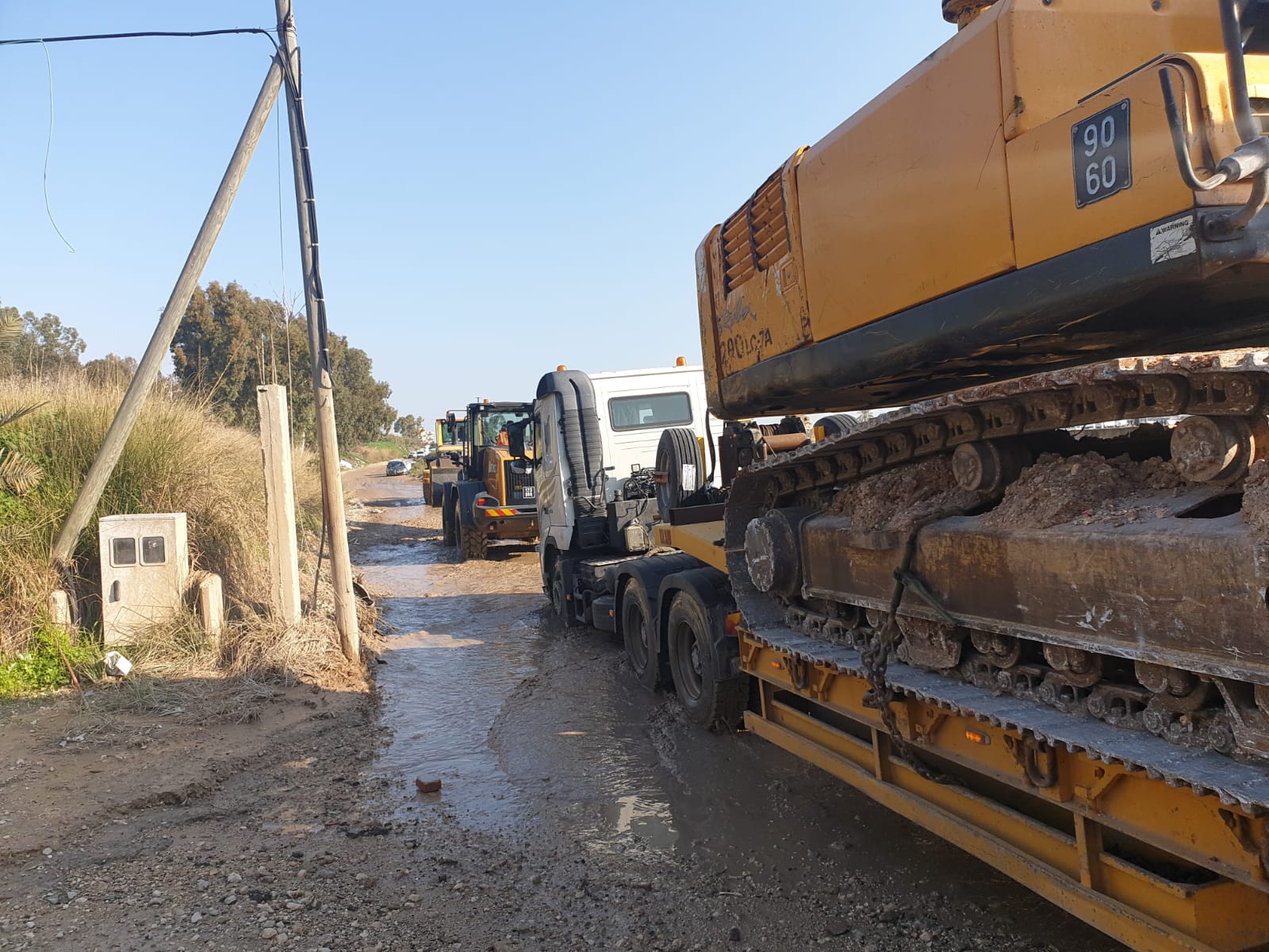 WhatsApp Image 2020-02-05 at 9.14.45 AM.jpeg.jpeg